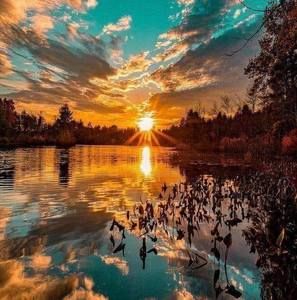 Meet your Posher, Arlene